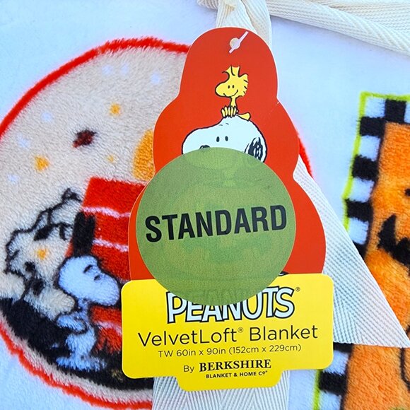 New 2024 Peanuts Halloween Twin Velvet Loft Throw - Picture 6 of 6